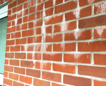 Brick tinting and colouring - Islington